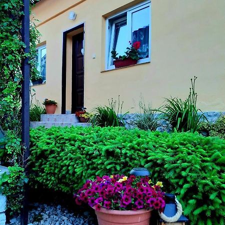 Rekreacny Domcek Judka Villa Dedinky Eksteriør bilde