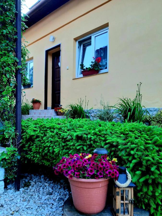 Rekreacny Domcek Judka Villa Dedinky Eksteriør bilde